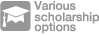 Various scholarship options